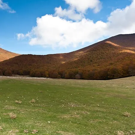 Holiday home Dimora Del Capriolo