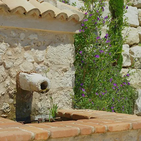 Dimora Del Capriolo *